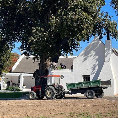 فندق Nassau Guest Farm ستيلينبوش المظهر الخارجي الصورة