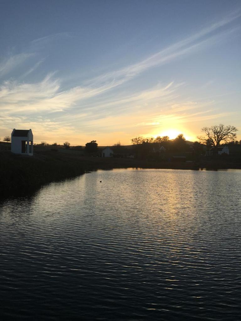 فندق Nassau Guest Farm ستيلينبوش المظهر الخارجي الصورة